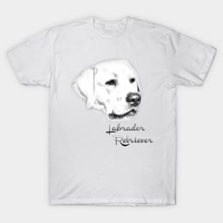 Labrador Retriever (silver sketch)! Especially for Labrador Retriever owners! T-Shirt